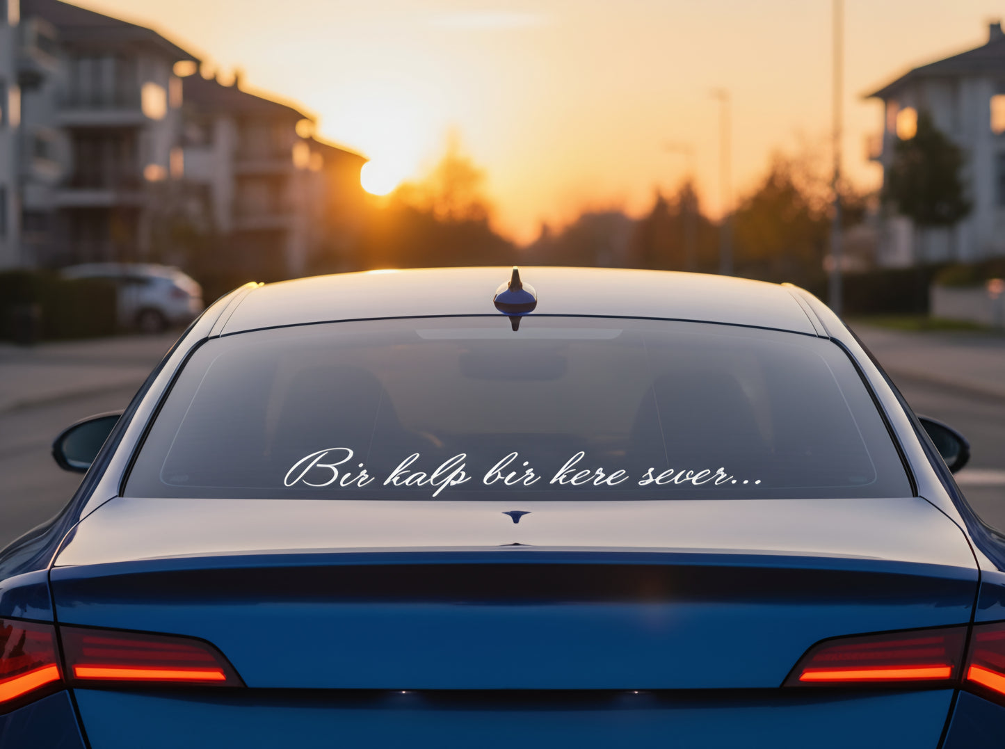 Bir kalp bir kere sever...